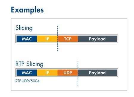 PACKET SLICING AT 100 GBIT LINE RATE